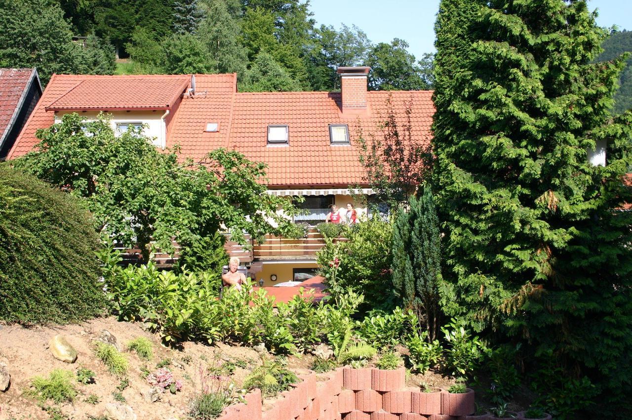 Haus-Kummeleck-Wohnung-3 Bad Lauterberg Exterior photo